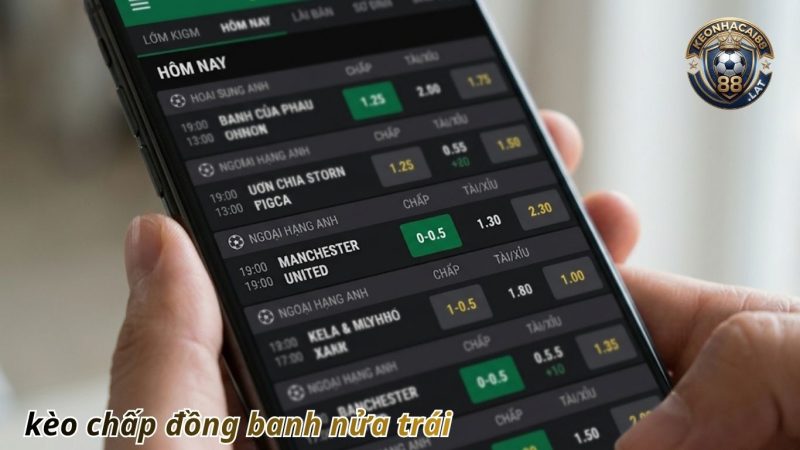 Hướng Dẫn Cách Tính Tiền Kèo Đồng Banh Nửa Trái Chi Tiết